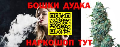стаф Обь