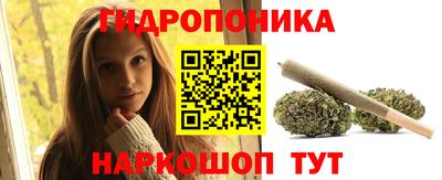 стаф Обь